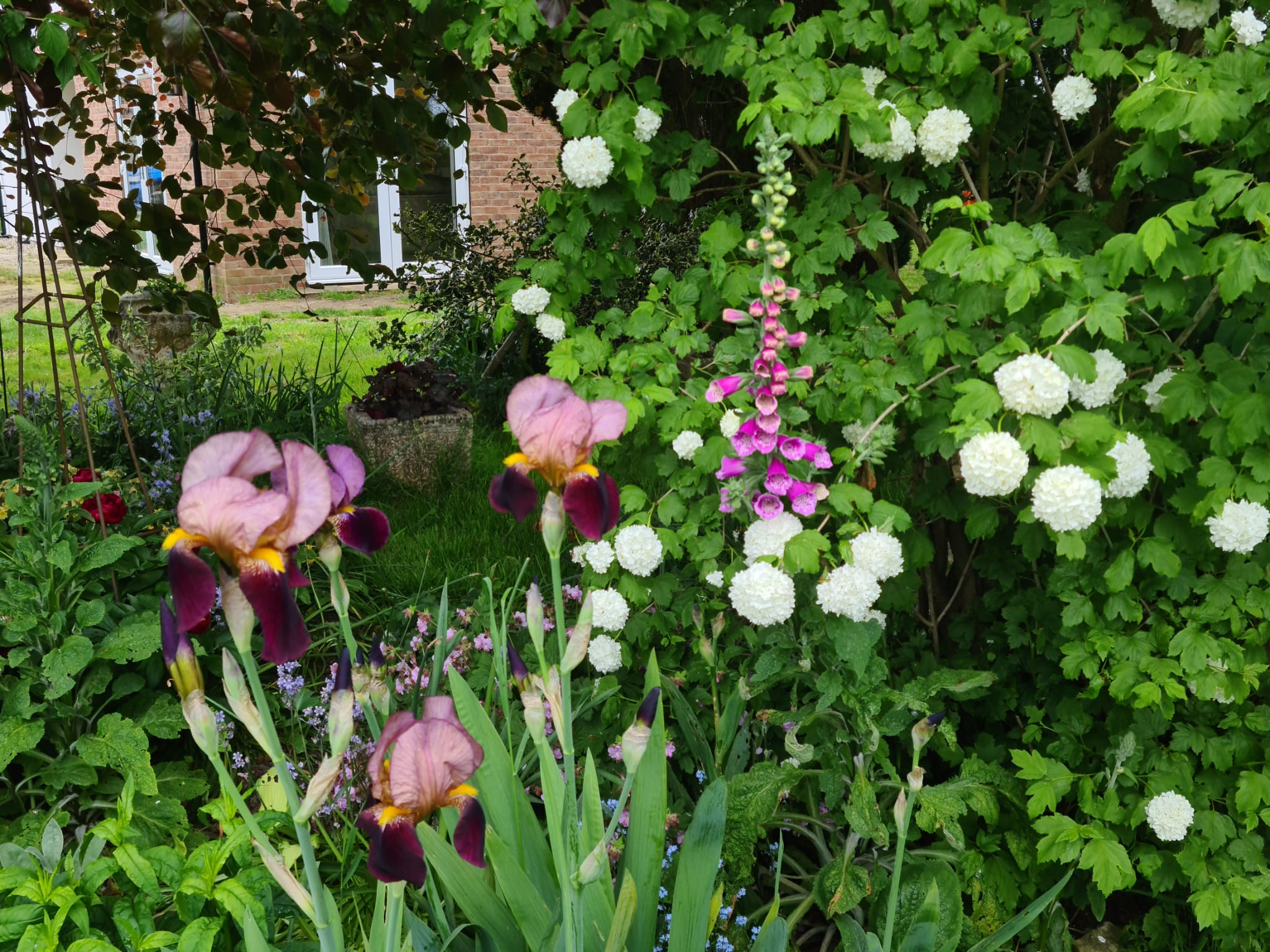 Early Summer